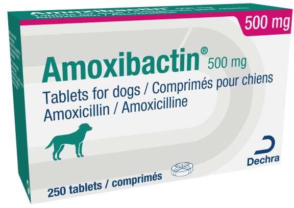 what is augmentin used for in dogs